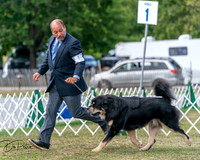 20250830-DSC03570