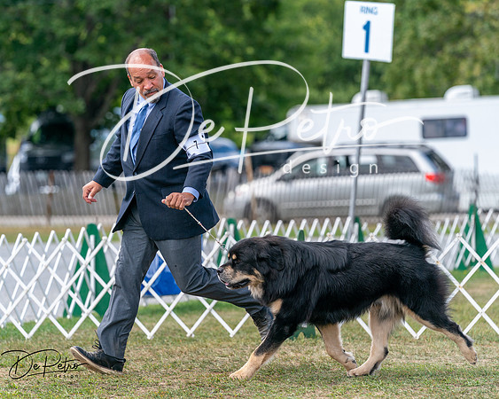 20250830-DSC03570