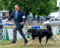 20250830-DSC03575