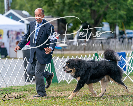 20250830-DSC03580