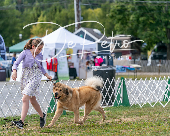 20250830-DSC03603