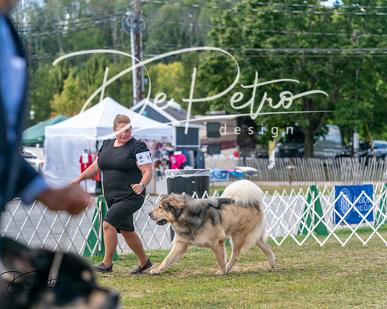 20250830-DSC03613