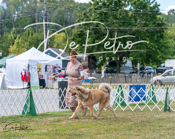 20250830-DSC03624