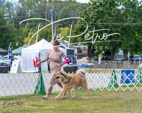 20250830-DSC03629