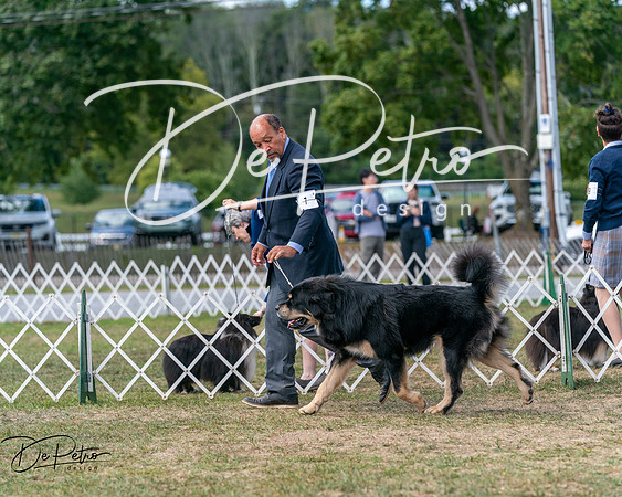 20250830-DSC03638