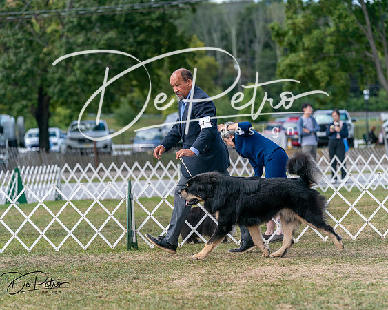 20250830-DSC03643