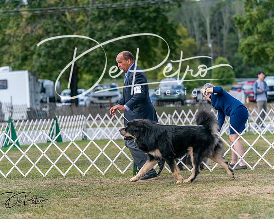 20250830-DSC03648