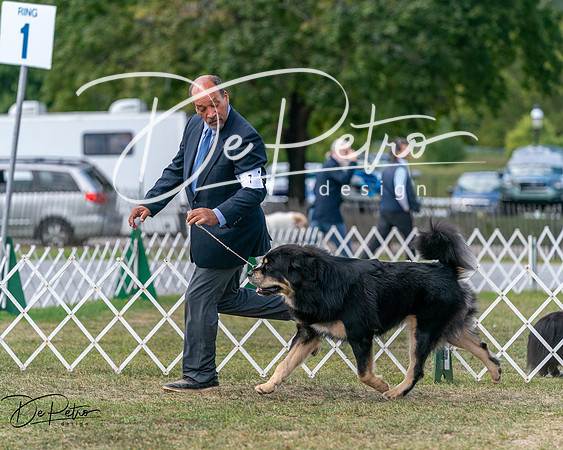 20250830-DSC03661
