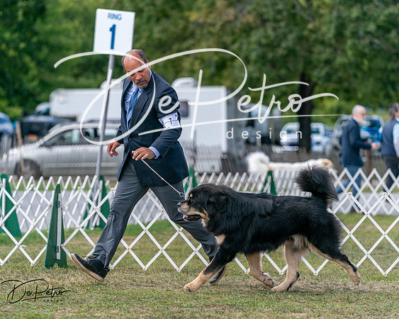 20250830-DSC03666