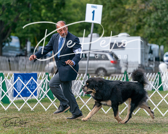 20250830-DSC03671