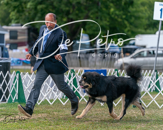 20250830-DSC03681