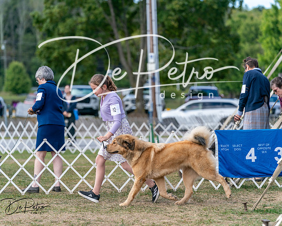 20250830-DSC03684