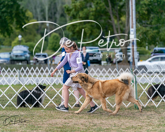 20250830-DSC03689