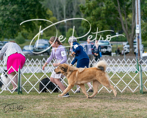 20250830-DSC03694