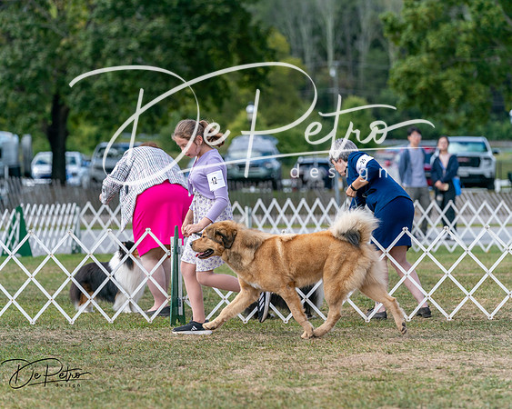 20250830-DSC03699