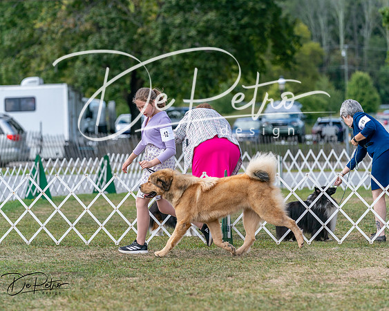 20250830-DSC03705