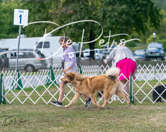 20250830-DSC03710
