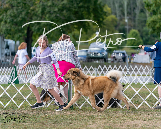 20250830-DSC03719