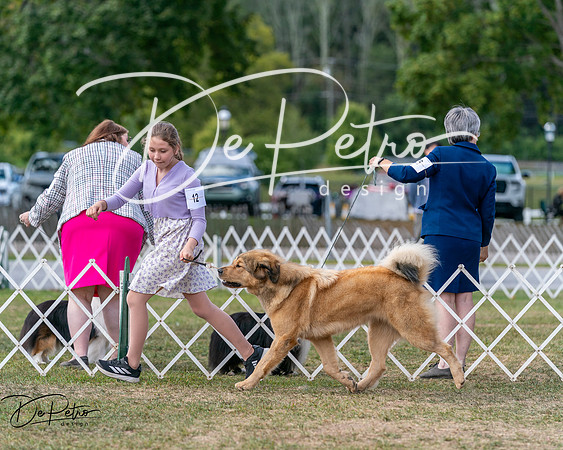20250830-DSC03714