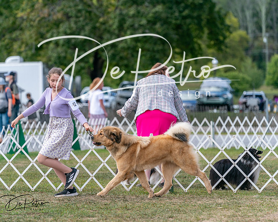 20250830-DSC03724