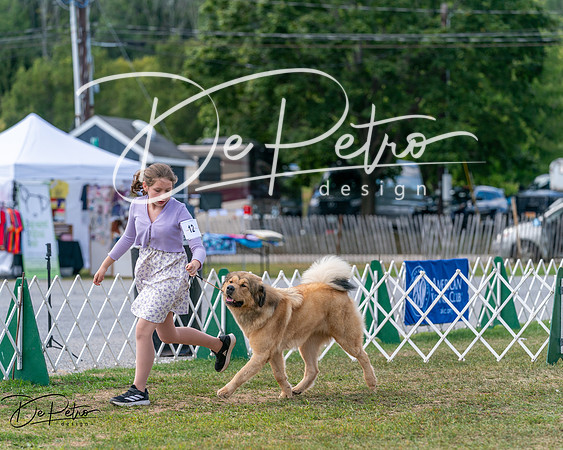 20250830-DSC03734