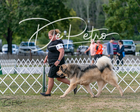 20250830-DSC03743