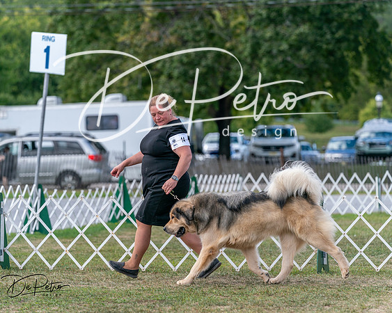 20250830-DSC03755