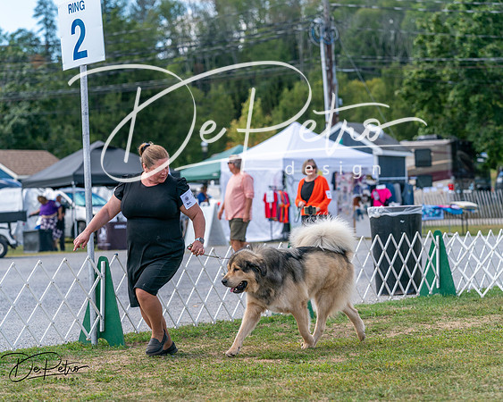 20250830-DSC03768