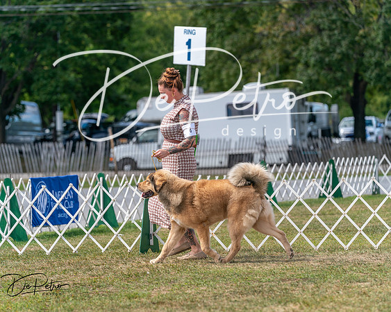 20250830-DSC03788