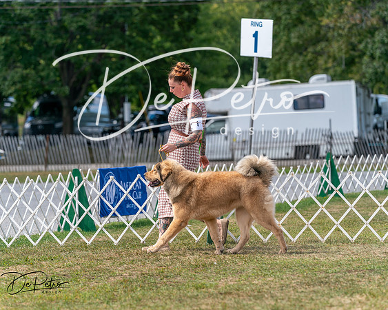 20250830-DSC03793
