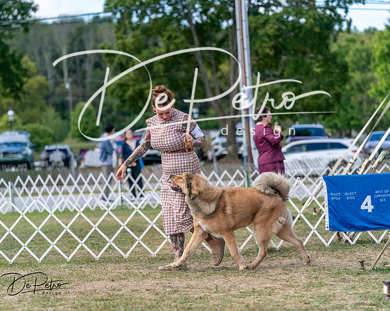 20250830-DSC03799