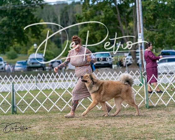 20250830-DSC03804