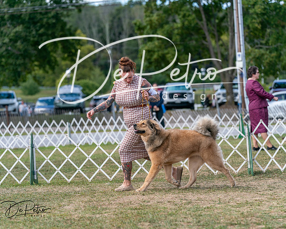 20250830-DSC03805