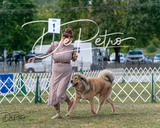 20250830-DSC03823