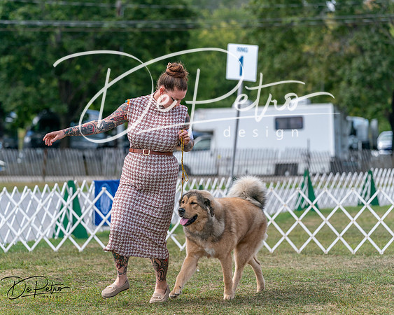 20250830-DSC03833