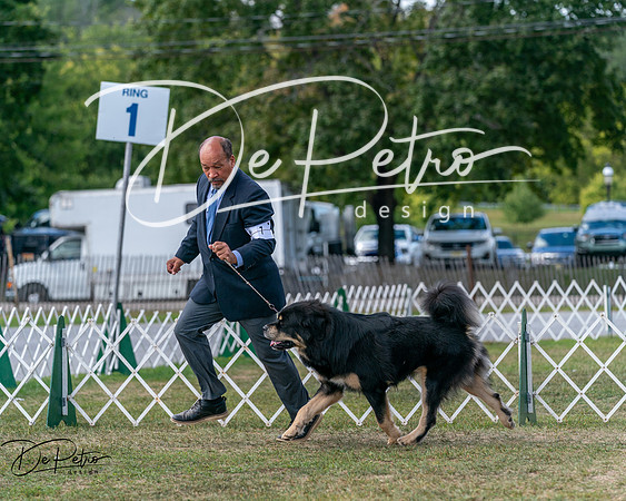 20250830-DSC03846