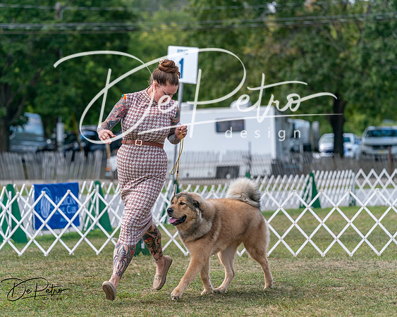 20250830-DSC03828