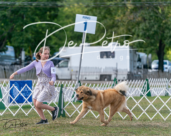 20250830-DSC03869