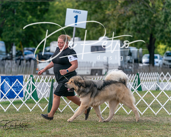 20250830-DSC03877