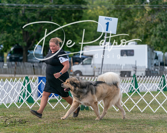 20250830-DSC03883