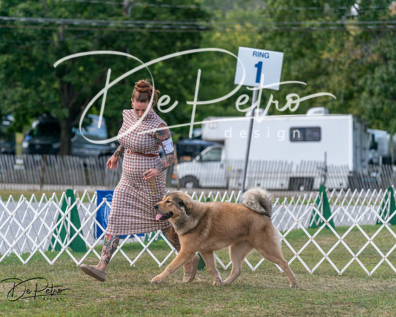 20250830-DSC03892