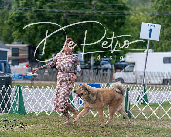 20250830-DSC03897