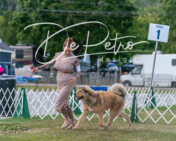 20250830-DSC03898