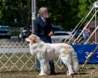 20250830-DSC03932