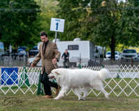 20250830-DSC03913