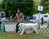 20250830-DSC03925