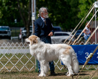20250830-DSC03933
