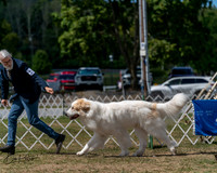 20250830-DSC03936