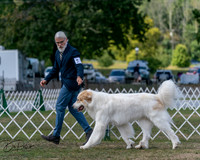20250830-DSC03973