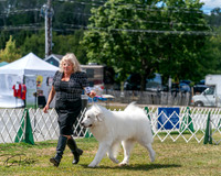 20250830-DSC03960